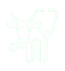 الرعاية البيطرية