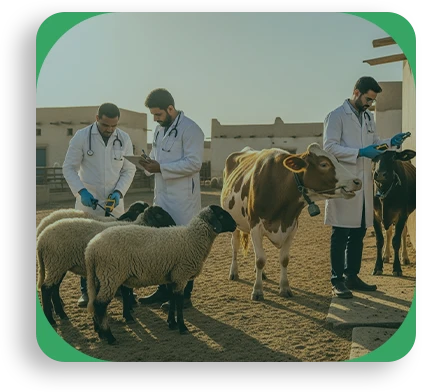 صورة الخدمة